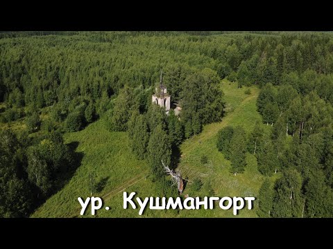 Видео: ур. Кушмангорт (Чердынский район)