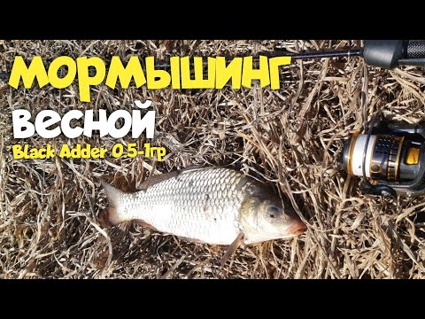 Видео: Мормышинг. клюёт только на эту приманку... #срыбалки #fishing