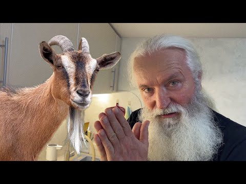 Видео: Вот почему тебе нужна КОЗА – секрет самообеспечения!