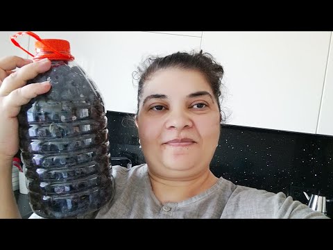 Видео: КАК СОЛИТЬ МАСЛИНЫ В ДОМАШНИХ УСЛОВИЯХ , Я ЭТО СДЕЛАЛА 👍👌