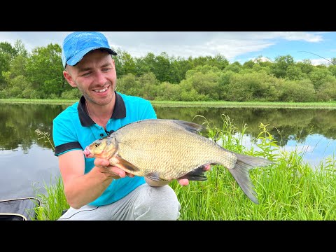 Видео: Первый выезд Березину 💪 Динамичная рыбалка🐟 Весело рыбачим летом😄 Фидер на реке летом