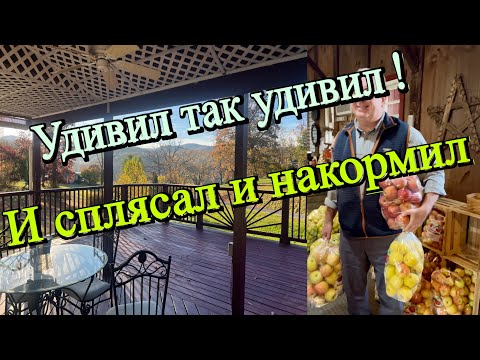 Видео: Я вернулась . Муж американец увез в  домик среди гор с тремя мешками яблок. 