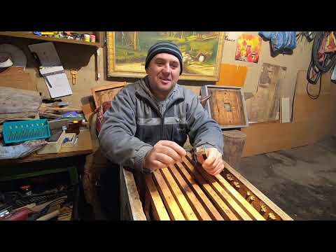 Видео: ПЧЕЛОВОДСТВО НАЧИНАЮЩИМ, ПЕРВЫЕ ПЧЁЛЫ, ПЧЕЛОПАКЕТЫ, ЧТО ДЕЛАТЬ И КАК! ПЕРЕСАДКА В УЛЕЙ И РАСШИРЕНИЕ!