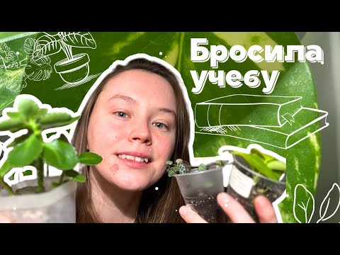 Видео: Хобби меняет жизнь, взяла кредит на учебу и бросила, что дальше?🙈