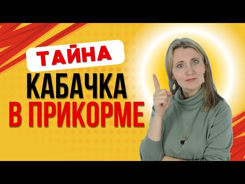 Видео: Кабачок в прикорме: когда начинать давать?