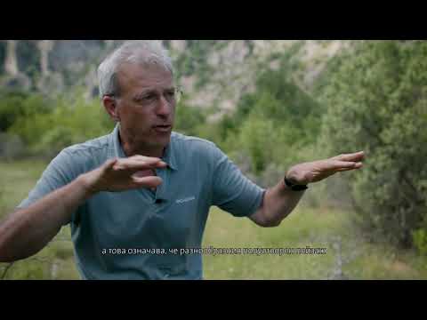 Видео: Завръщането на дивата природа в Родопите