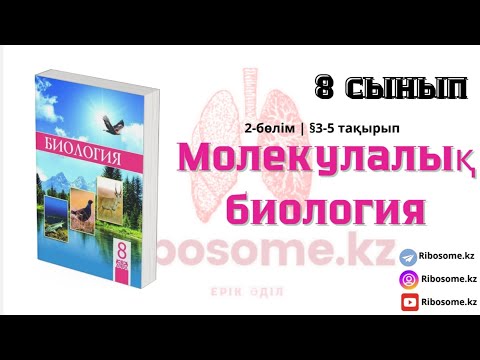 Видео: 8-сынып Молекулалық биология §3-5 тақырып 2-бөлім / Ribosome.kz / Ерік Әділ