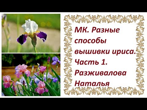 Видео: МК. Разные способы вышивки ириса. Часть 1. Способ 1. Классическая вышивка.