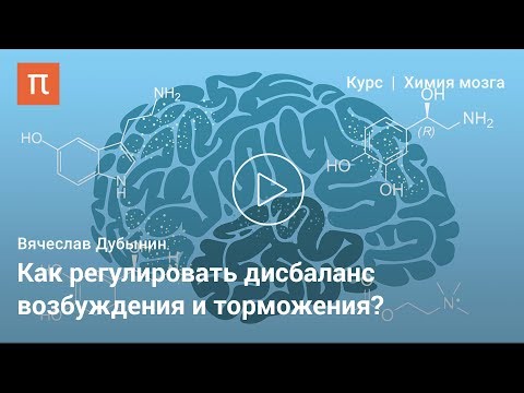 Видео: Гамма-аминомасляная кислота – Вячеслав Дубынин
