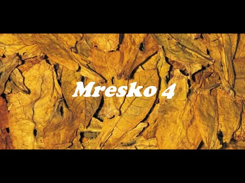 Видео: Обзор сортов. Mresko №4