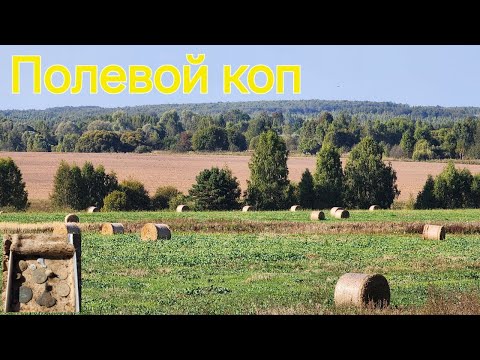 Видео: Земля, как бетон. Поиск с металлоискателем в зной и засуху.