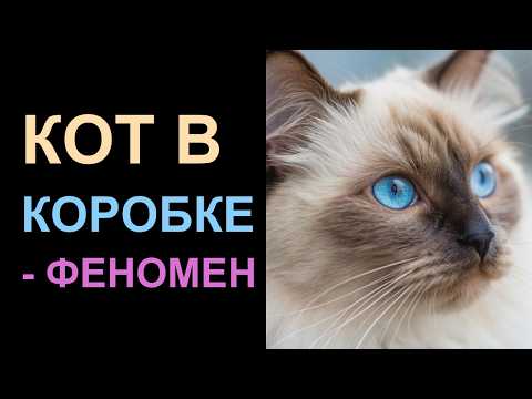 Видео: 🐱 Почему ваш кот приносит вам МЁРТВЫХ мышей и еще 8 ЗАГАДОК кошачьей психологии!