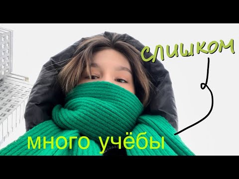 Видео: study vlog| подготовка к аттестации, общага мгу и друзья