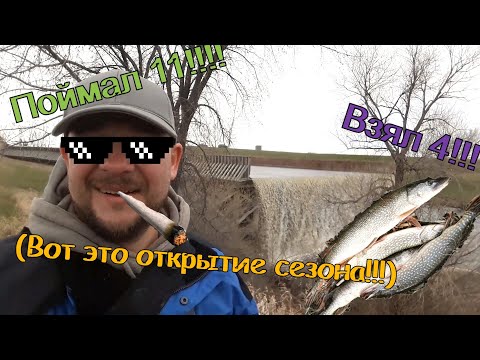 Видео: Бешеный весенний жор щуки!Рыбалка в Канаде. Stephenfield,Manitoba 2020 fishing season opening