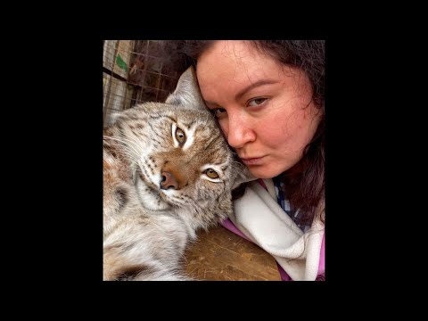 Видео: Рысь Марс на стриме 27.05.2022