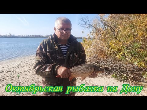 Видео: Октябрьская рыбалка на Дону от Каплицы на лево, на против о. Алитуб. Погода продолжает нас радовать.