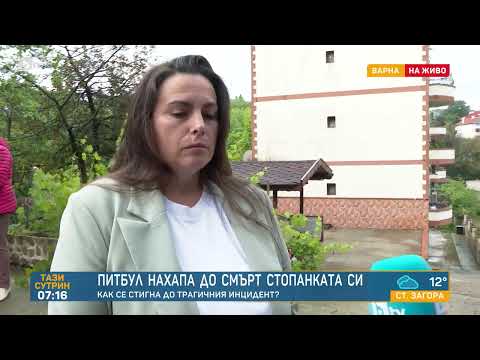 Видео: Питбул уби стопанката си във Варна: Защо кучето е проявило агресия?