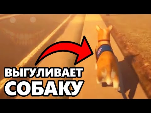 Видео: DAWG выгуливает собаку [СТРАШНО]