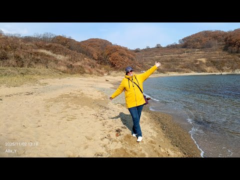 Видео: Бухта Новицкого / Лесная, 2 ноября 2025