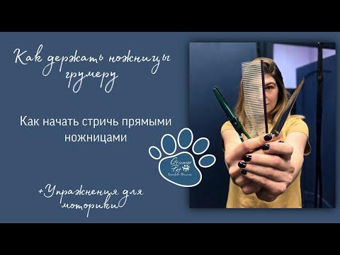 Видео: Как держать ножницы грумеру