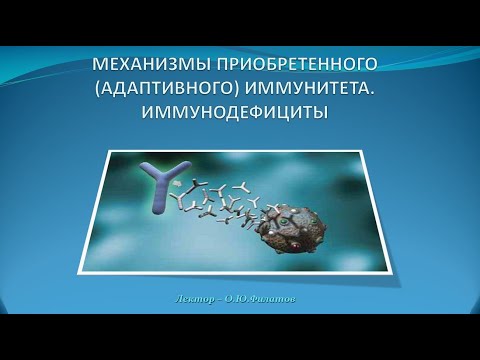 Видео: Приобретенный  иммунитиет. Иммунодефициты (лектор О.Ю.Филатов)