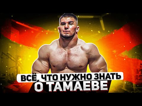 Видео: Тамаев и Его Понятия / У Нас Так Не Принято