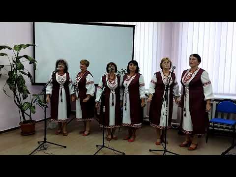 Видео: Концерт Народного вокального колективу "Яворина" до Дня міста Шостка