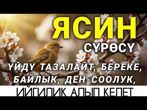 Видео: ЯСИН СҮРӨСҮ | ЖАМАНДЫКТАН ЖАНА КӨЗ ТИЙҮҮДӨН САКТАЙТ, ООМАТТЫН, БЕРЕКЕНИН ЖАНА ЫРЫСКЫНЫН ЭШИГИН АЧАТ