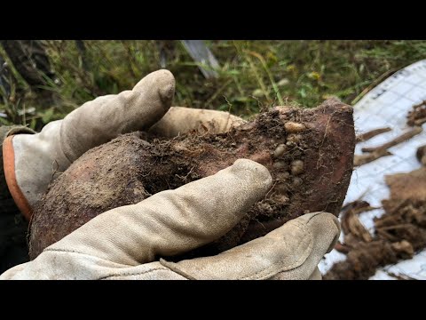 Видео: Что скрывают в себе солдатские окопы