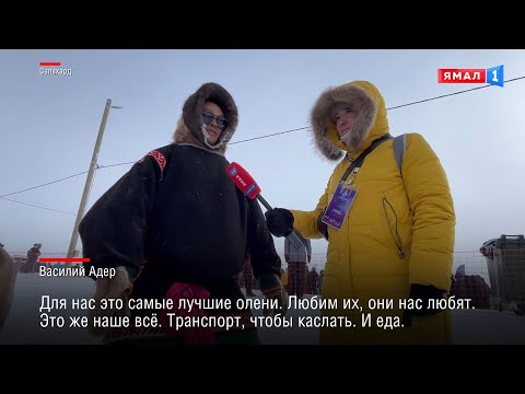 Видео: Это увидели 100 тысяч человек: чем удивил зрителей День оленевода в Салехарде?