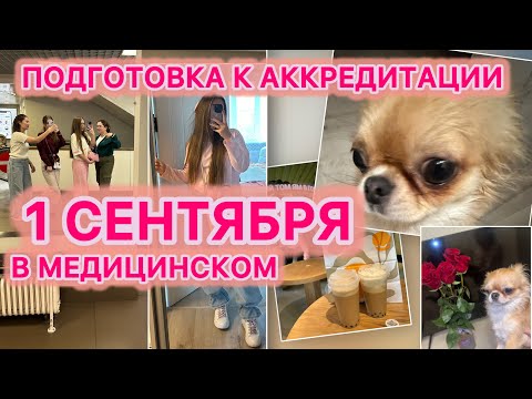 Видео: Готовлюсь к аккредитации | Как прошло моё 1 сентября | VLOG 9