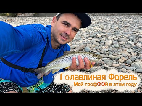 Видео: Трофейная дикая форель на Кавказе