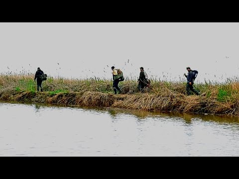 Видео: Бешеный клёв дикого сазана.Рыбалка с ночевкой.Приготовили сазана на 7кг