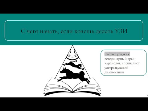 Видео: С чего начать, если хочешь делать УЗИ собакам и кошкам | Разбор УЗИ собаки