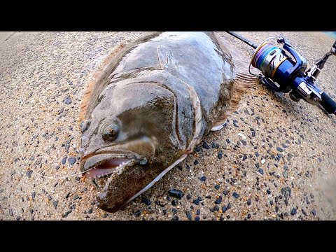 Видео: Он упал металлический стержень, рыбачил плоскую рыбу