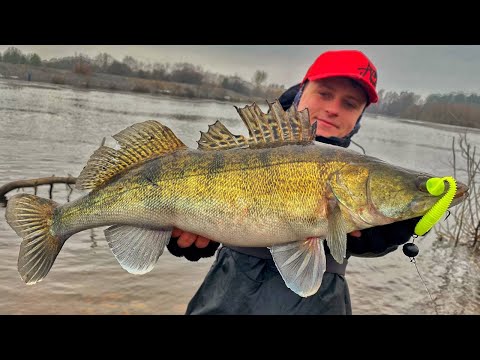 Видео: СУДАК на ДЖИГ ВЕСНОЮ 2023! Ловля судака на джиг у березні! ВЕСНЯНИЙ СПІНІНГ 2023! Судак на Дніпрі!