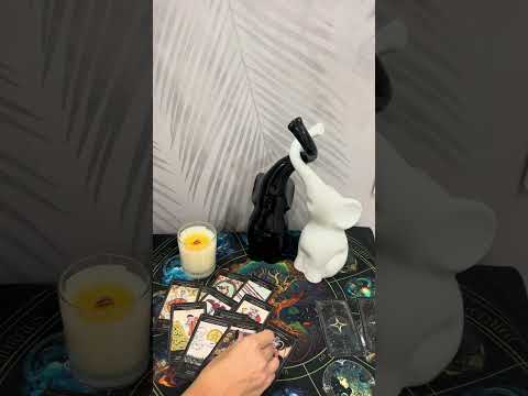 Видео: Все о вашем мужчине в ноябре🔮💯❤️❤️❤️ #таро #tarot #тарочточувствует#тарологонлайнбесплатно 
