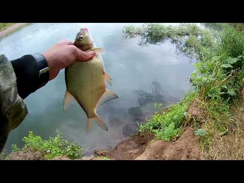 Видео: Фидерная рыбалка на реке Сакмара, разведка нового места!!!!