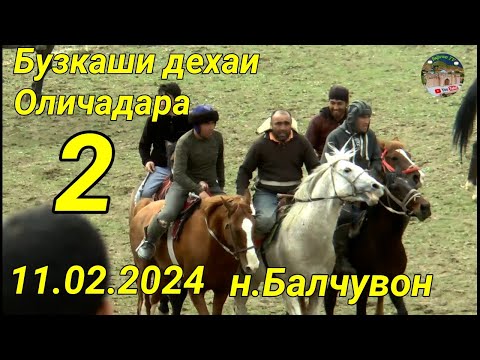 Видео: Бузкаши дар н Балчувон д Оличадара 11.02.2024  Кисми 2