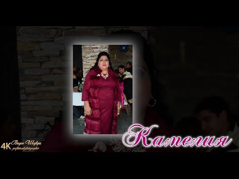 Видео: 50-годишният юбилей на Камелия гр Ихтиман 2019 4K Видео Шукри