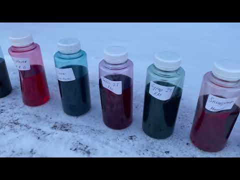 Видео: РЕАЛЬНЫЙ ТЕСТ СНЕГОХОДНЫХ МАСЕЛ В ЛЮТЫЙ МОРОЗ