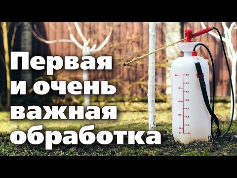 Видео: ОБРАБОТКА САДА РАННЕЙ ВЕСНОЙ. Мощный удар по вредителям и болезням