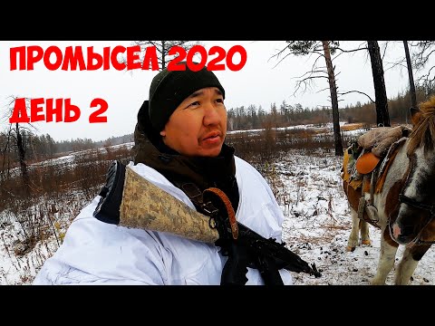 Видео: Промысел 2020/ ДЕНЬ 2 / Рейд по тайге верхом на коне