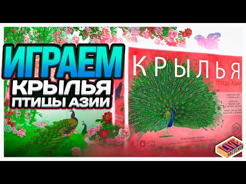 Видео: Играем в настольную игру Крылья. Птицы Азии
