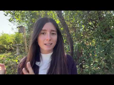 Видео: Почему сельскохозяйственные угодья США продаются иностранным инвесторам?