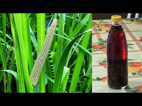 Видео: Аир 🌿 болотный. Настойка 🍷 корня аира, как сделать и хранить. Афродизиаки.