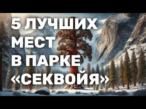 Видео: Что посмотреть в парке Секвойя