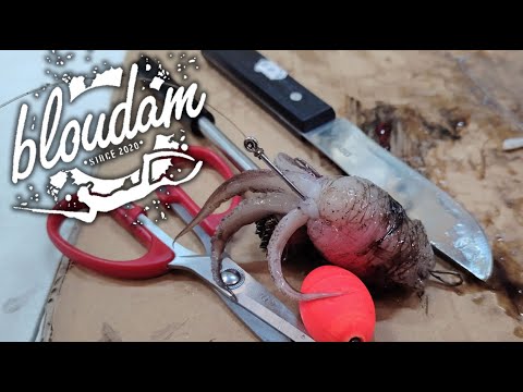 Видео: Удивительная наживка для ловли чебака, советы, хитрости и оснастки