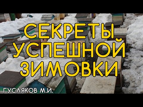 Видео: Успешная зимовка. Как лучше зимуют пчёлы? Гусляков М.И.