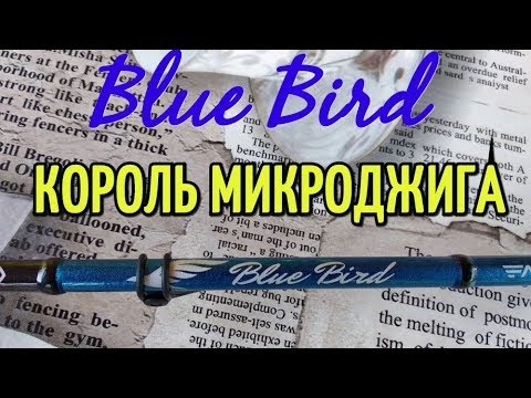 Видео: Большой обзор спиннинга Favorite Blue Bird. Лучший спиннинг для микроджига